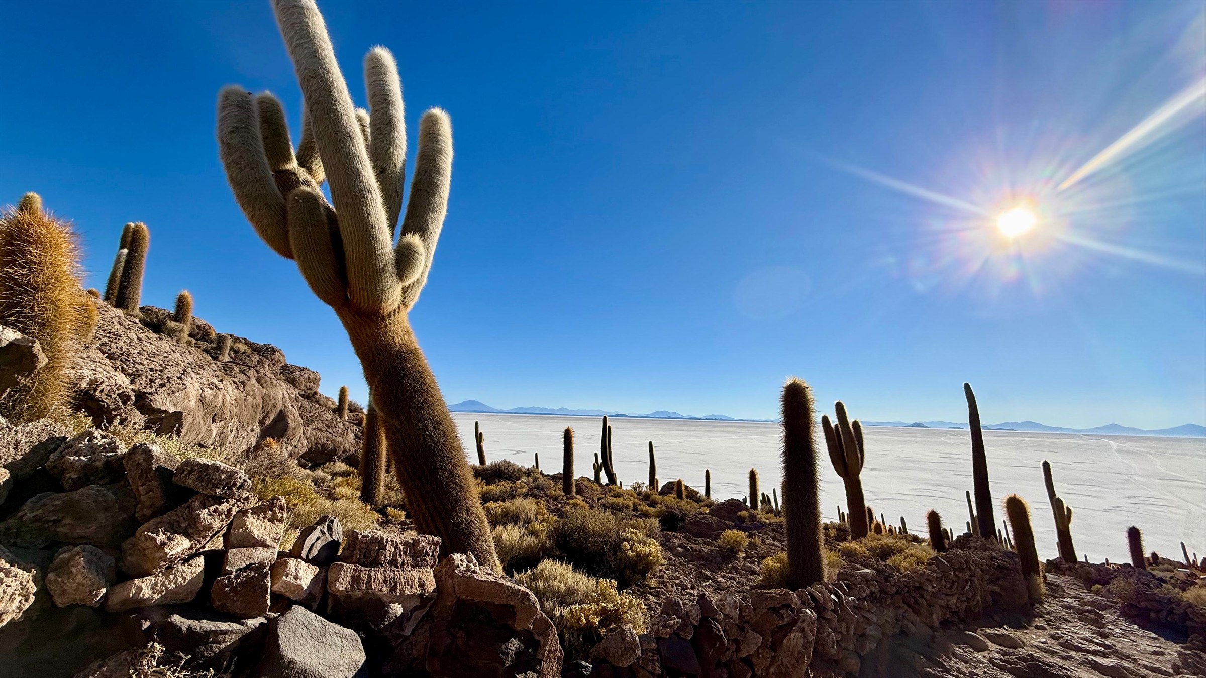 Isla Incahuasi im Salar de Uyuni